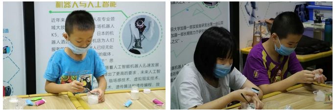 【精品课结课】科学小达人，让我们继续向前！