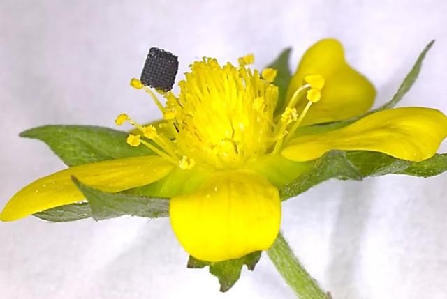 高分辨率3D打印石墨烯三维结构!